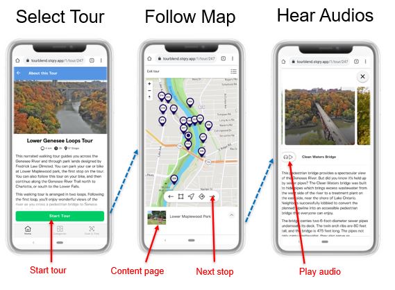 UI for Lower Genny Loops